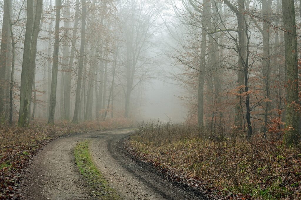 授乳中のダイエット方法は安全に行えるの？