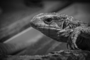 無料体験を始める初心者が知っておくべき注意点は？