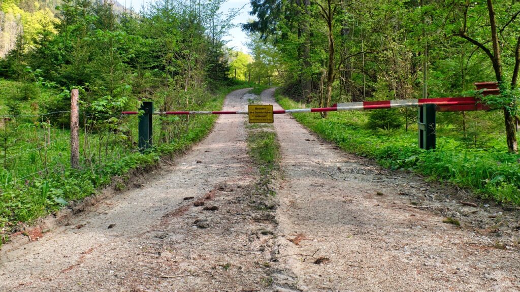 糖質制限を女性が安全に行うための方法は？