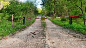 糖質制限を女性が安全に行うための方法は？