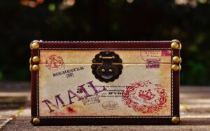 胸大きくする運動にはどんな種類があるの？