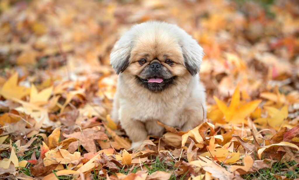 女性がジムに通うべき週何回はどのくらい？