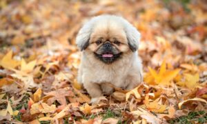 女性がジムに通うべき週何回はどのくらい？