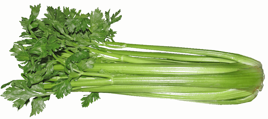 産後ダイエットのためのジム無料体験はどこで受けられる？