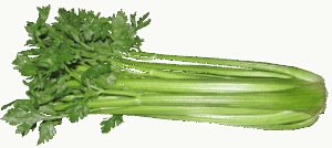 産後ダイエットのためのジム無料体験はどこで受けられる？