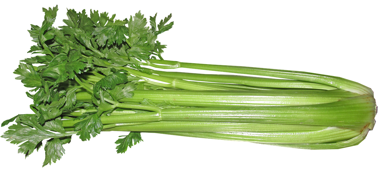 産後ダイエットのためのジム無料体験はどこで受けられる？