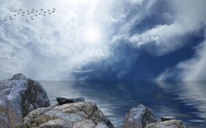 女性専用ジムの当日体験はどのように申し込むべき？