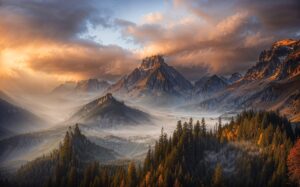 AI診断で体脂肪を正確に測定する方法は？